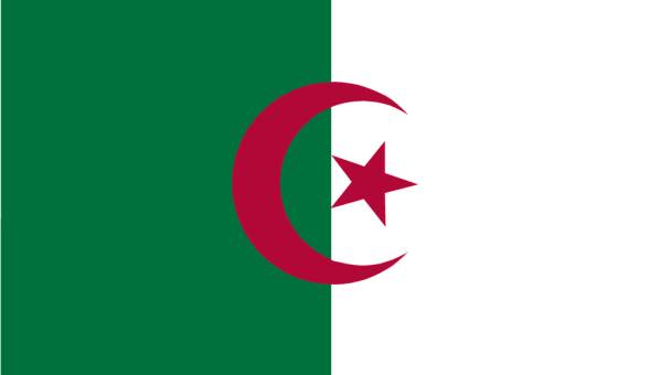 Zastava Alzira