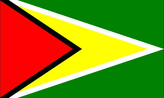 zastava gvajane