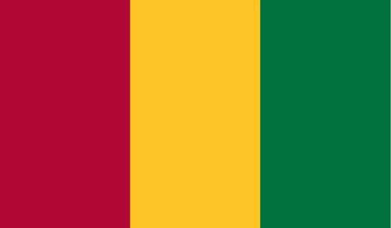 zastava gvineje