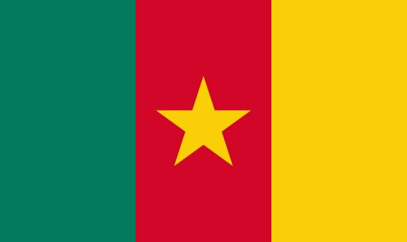 zastava kameruna